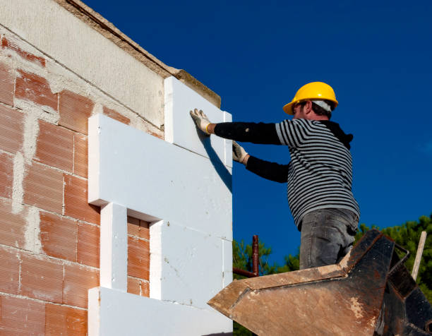 Best Cellulose Insulation in Lakeport, TX