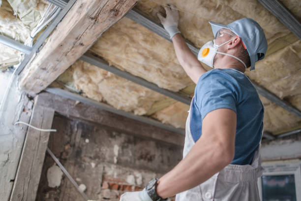 Best Spray Foam Insulation in Lakeport, TX