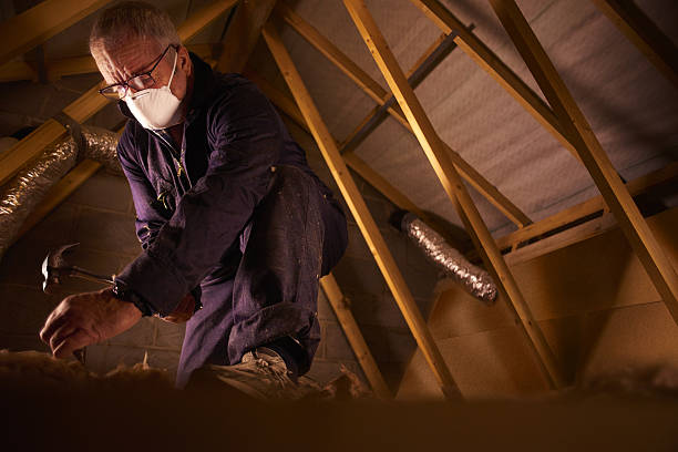 Best DIY Insulation Kits and Guidance in Lakeport, TX