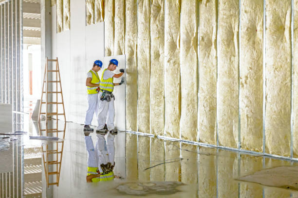 Best Eco-Friendly Insulation in Lakeport, TX